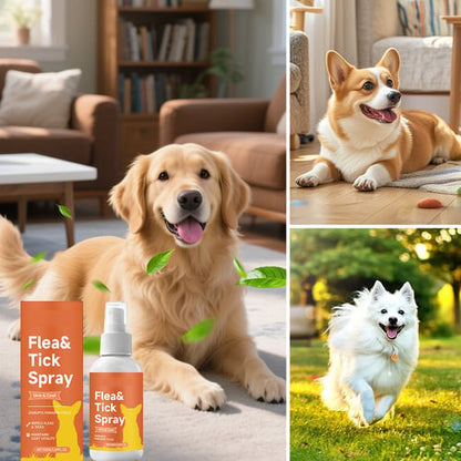 Vlooien- & Tekenverzorgingsspray voor Honden