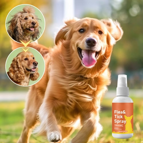 Vlooien- & Tekenverzorgingsspray voor Honden