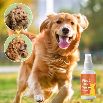 Vlooien- & Tekenverzorgingsspray voor Honden
